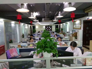 成功快车与德晟会计师事务所签约合作