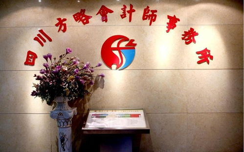 四川方略会计师事务所